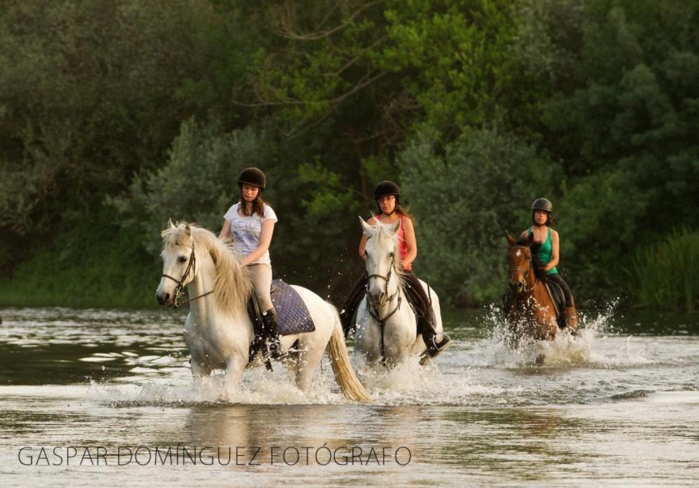 Complejo Oasis Beach Sobre El Rio Huerta  外观 照片