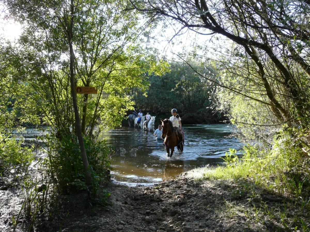 Complejo Oasis Beach Sobre El Rio Huerta  外观 照片
