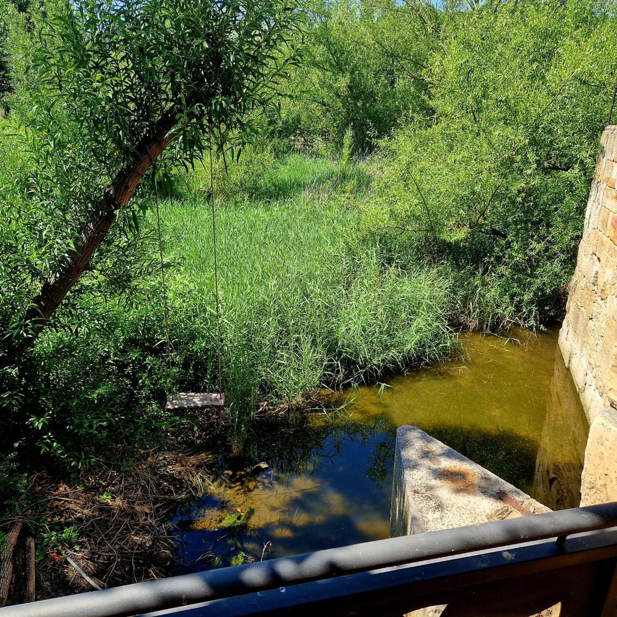 Complejo Oasis Beach Sobre El Rio Huerta  外观 照片